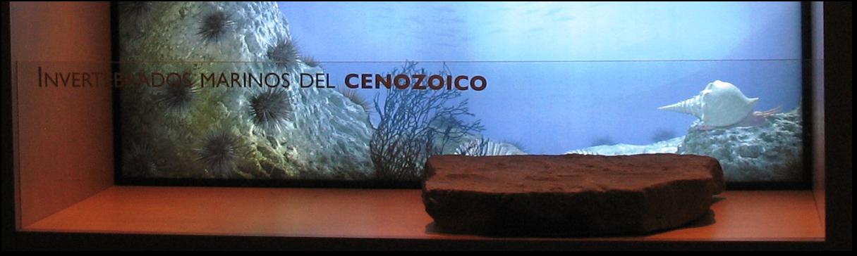 Sala de exposición