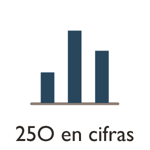 Icono 250