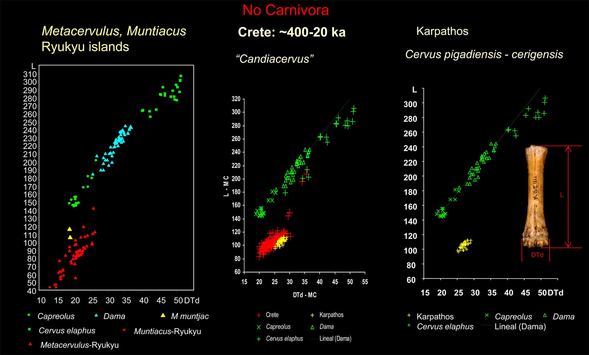 Islands without carnivores