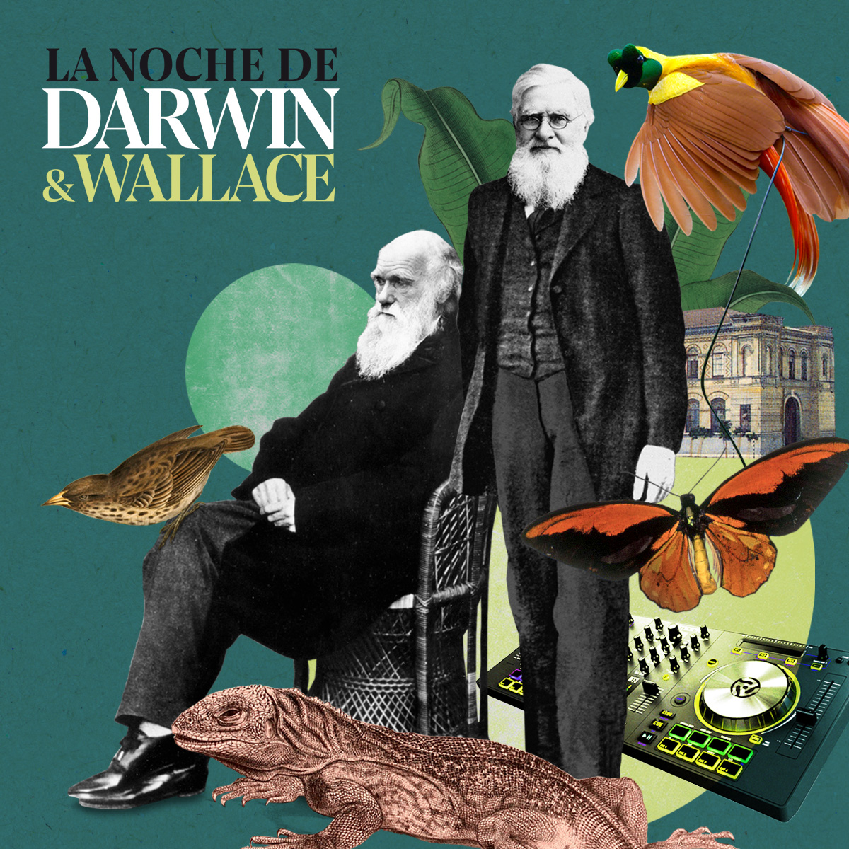 Cartel de la Noche de Darwin y Wallace 2024