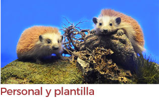 Personal y plantilla 