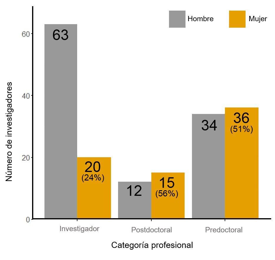 Categoría profesional