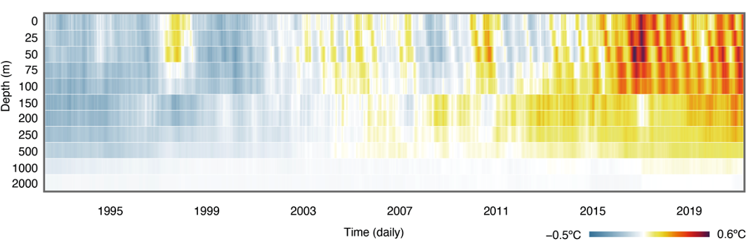 Gráfico calor oceánico