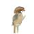 Mosquero real amazónico, 'Onychorhynchus coronatus' / Viviane Chonchol