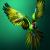 Guacamayo militar / Tim Flach