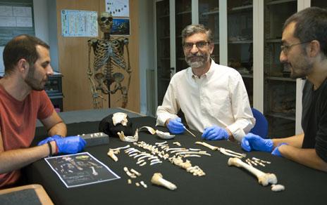 Reconstruyen cómo crecían los neandertales a partir de fósiles del yacimiento de El Sidrón Reconstruyen cómo crecían los neandertales a partir de fósiles del yacimiento de El Sidrón