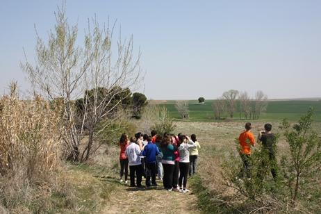 Alumnos de primaria conocen las aves de su entorno a través del Museo Nacional de Ciencias Naturales Alumnos de primaria conocen las aves de su entorno a través del Museo Nacional de Ciencias Naturales