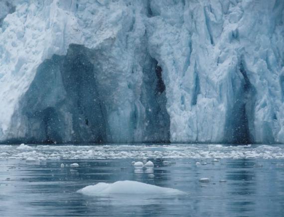 El efecto de las glaciaciones del pasado sobre la biodiversidad El efecto de las glaciaciones del pasado sobre la biodiversidad