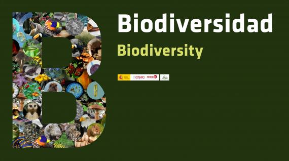 El Museo Nacional de Ciencias Naturales (CSIC) presenta BIODIVERSIDAD una nueva exposición permanente El Museo Nacional de Ciencias Naturales (CSIC) presenta BIODIVERSIDAD una nueva exposición permanente