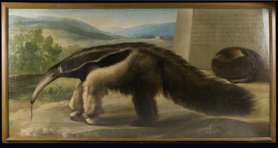 El óleo La Osa Hormiguera de Su Majestad atribuido a Francisco de Goya se expone por primera vez al público en el Museo Nacional de Ciencias Naturales (CSIC) El óleo La Osa Hormiguera de Su Majestad atribuido a Francisco de Goya se expone por primera vez al público en el Museo Nacional de Ciencias Naturales (CSIC)