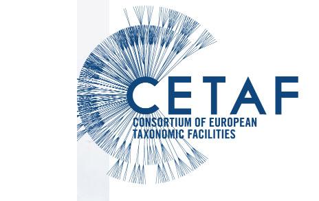El Consorcio de Instituciones Europeas de Taxonomía (CETAF) celebra su 20 aniversario en Madrid El Consorcio de Instituciones Europeas de Taxonomía (CETAF) celebra su 20 aniversario en Madrid