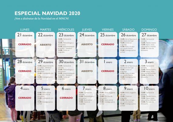programa NAvidad 
