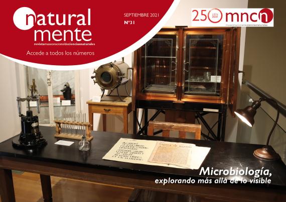 NaturalMente 31