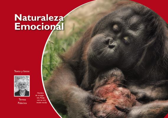 Portada del artículo