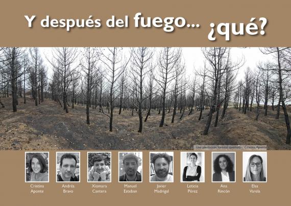 Y después del fuego... ¿qué?
