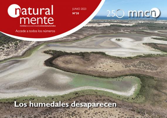 Humedales secos de la Península. NaturalMente38