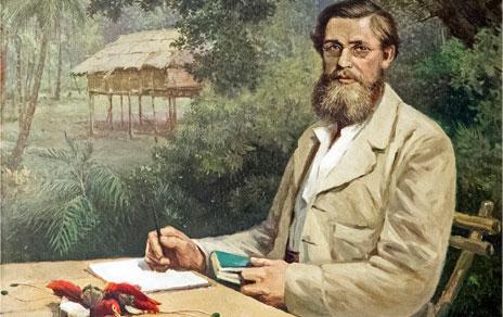Retrato de Alfred Russel Wallace / Victor Evstatieff