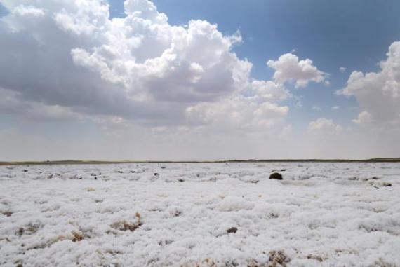 Laguna de peñahueca durante la etapa seca