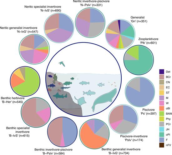 Gremios tróficos en los que pueden ser categorizados los vertebrados marinos. Los colores y su proporción dentro de cada círculo indican el tipo y cantidad de recursos que explota cada uno. 