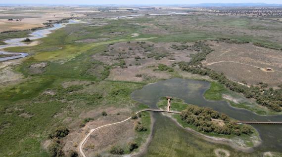 Vista aérea de Las Tablas de Daimiel en el entorno del itinerario de la Isla del Pan, que se mantiene inundado artificialmente. Se aprecia una panorámica hacia el suroeste. / Salvador Sánchez Carrillo