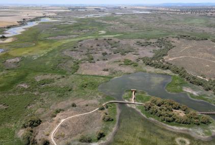 Vista aérea de Las Tablas de Daimiel en el entorno del itinerario de la Isla del Pan, que se mantiene inundado artificialmente. Se aprecia una panorámica hacia el suroeste. / Salvador Sánchez Carrillo