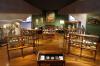 General view of the permanent exhibition dedicated to the Royal Cabinet / José María Cazcarra